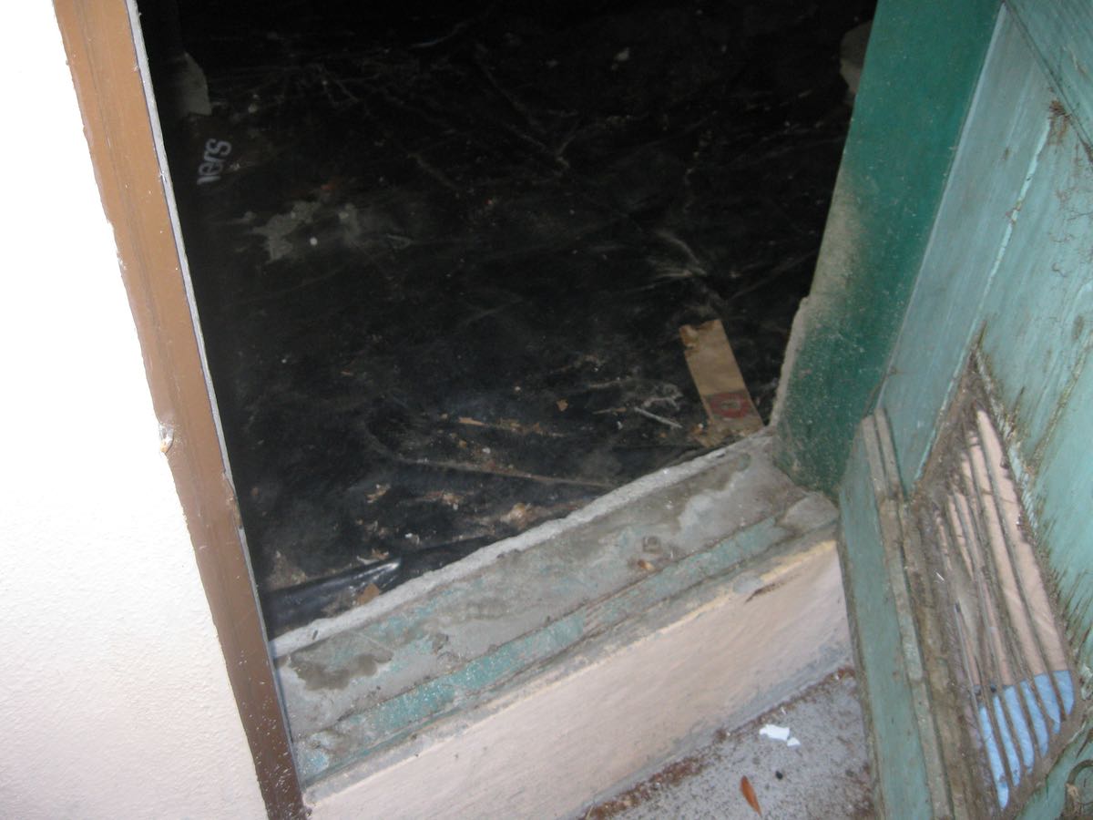 A low crawl space access door swung open, a worn green louvered door to one side, and black plastic sheeting over the ground inside, lit only by a camera flash.