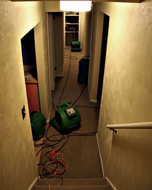 A basement hallway after a water loss, lit by a ceiling light, with green air movers and a dehumidifier running on the carpet and their cords trailing down the stairs.