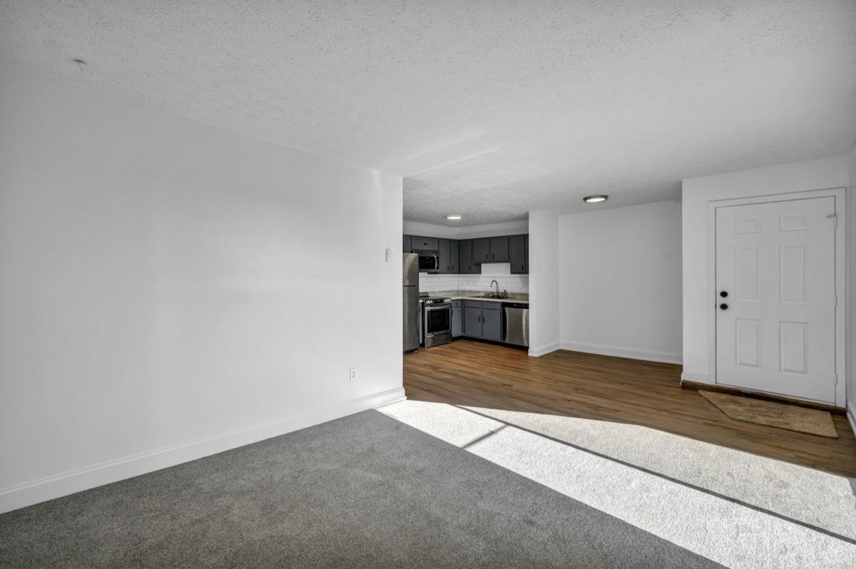 An empty apartment between tenants: gray carpet in the living room, a small kitchen with dark cabinets and steel appliances beyond it, and a white front door on the right.