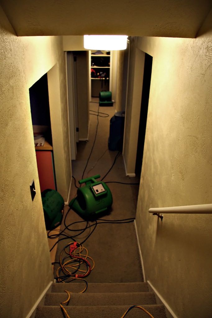 A finished basement hallway after a water loss, seen from the stairs: green air movers on the carpet, a dehumidifier further down the hall, and extension cords running along the floor.