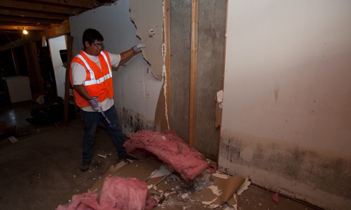 A mold remediation worker in a safety vest, gloves and glasses tears moldy drywall off a flooded basement wall; pink insulation and drywall pieces lie on the concrete floor, and dark staining runs along the bottom of the wall on the right.