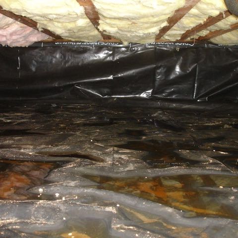 A crawl space with black plastic over the ground, standing water on it, and insulation between the joists above.